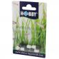Preview: Köder für Planarienfallen -  Hobby Planaria X Special Bait