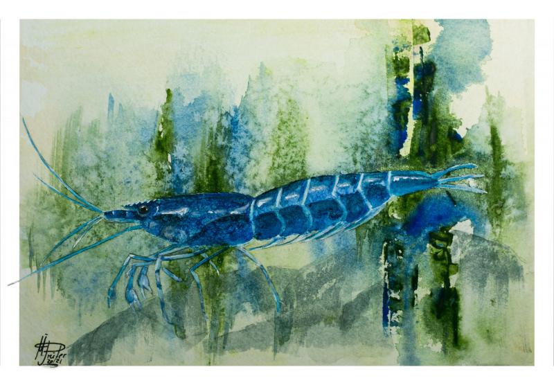 Aquarell Blue Dream