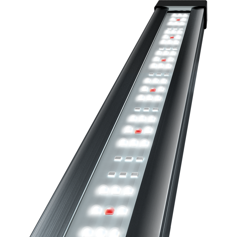 Preview: Tetronic LED ProLine