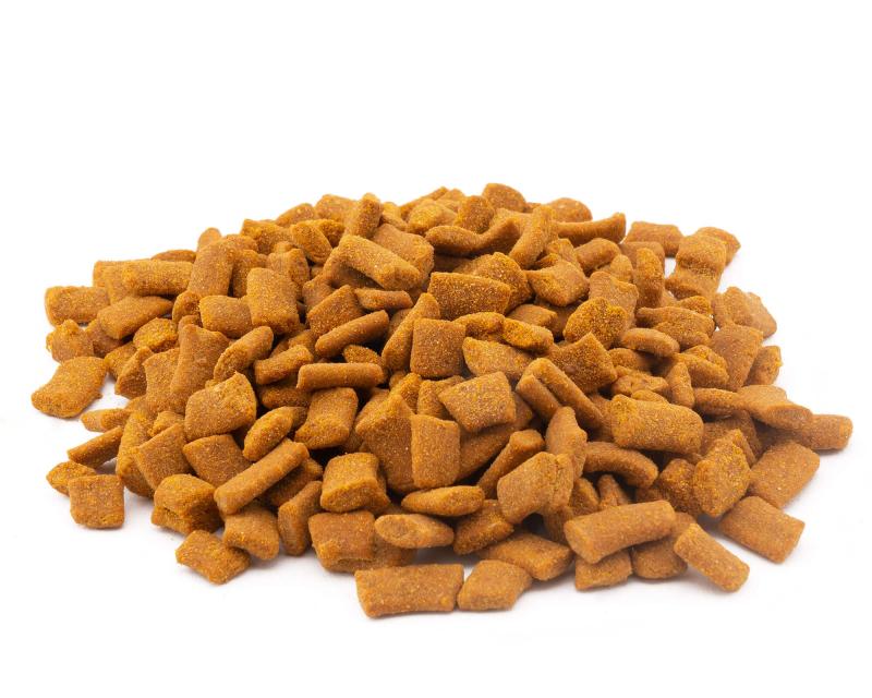 Preview: NatureHolic - Pumpkin Cinnamon Bites - 30 g
