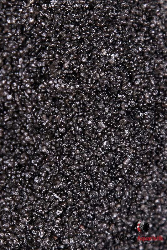 Preview: WeDiGa Color Premium Aquariensand und Kies - Samtschwarz - 2 - 3 mm