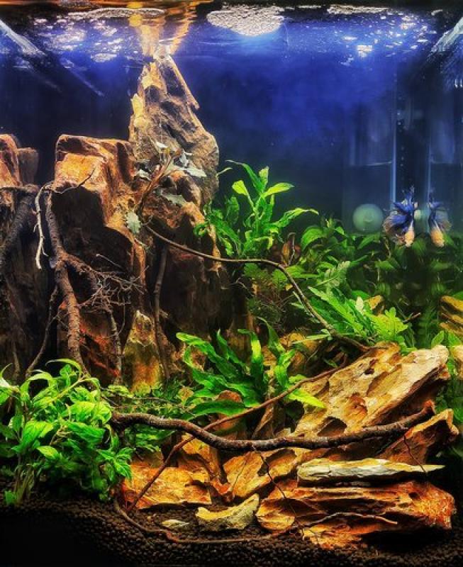 Preview: Drachenstein - Ohko Stone - MyScape Dragon Stone 5 kg