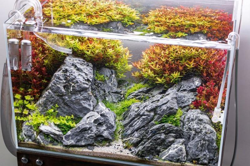 Preview: Mini-Landschaft - Seiryu Stone - MyScape Seiryu Rocks 5 Kg