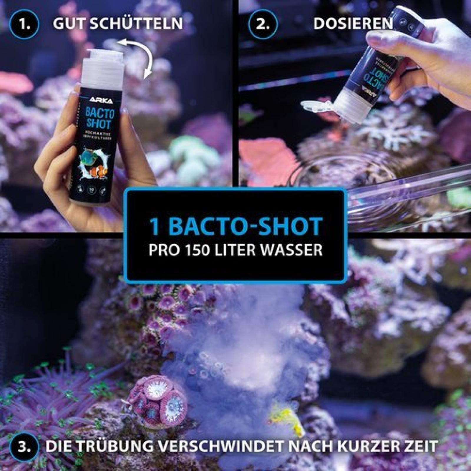 Bacto-Shot – Hochaktive Impfkulturen